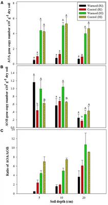 Response of Nitrifier and Denitrifier Abundance and Microbial Community Structure to Experimental Warming in an Agricultural Ecosystem